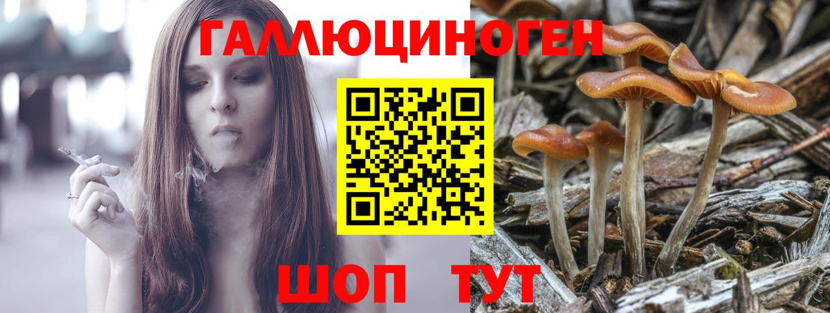 Псилоцибиновые грибы Psilocybine cubensis  купить закладку  Вход с VPN  Ялта  Галлюциногенные грибы мухоморы 